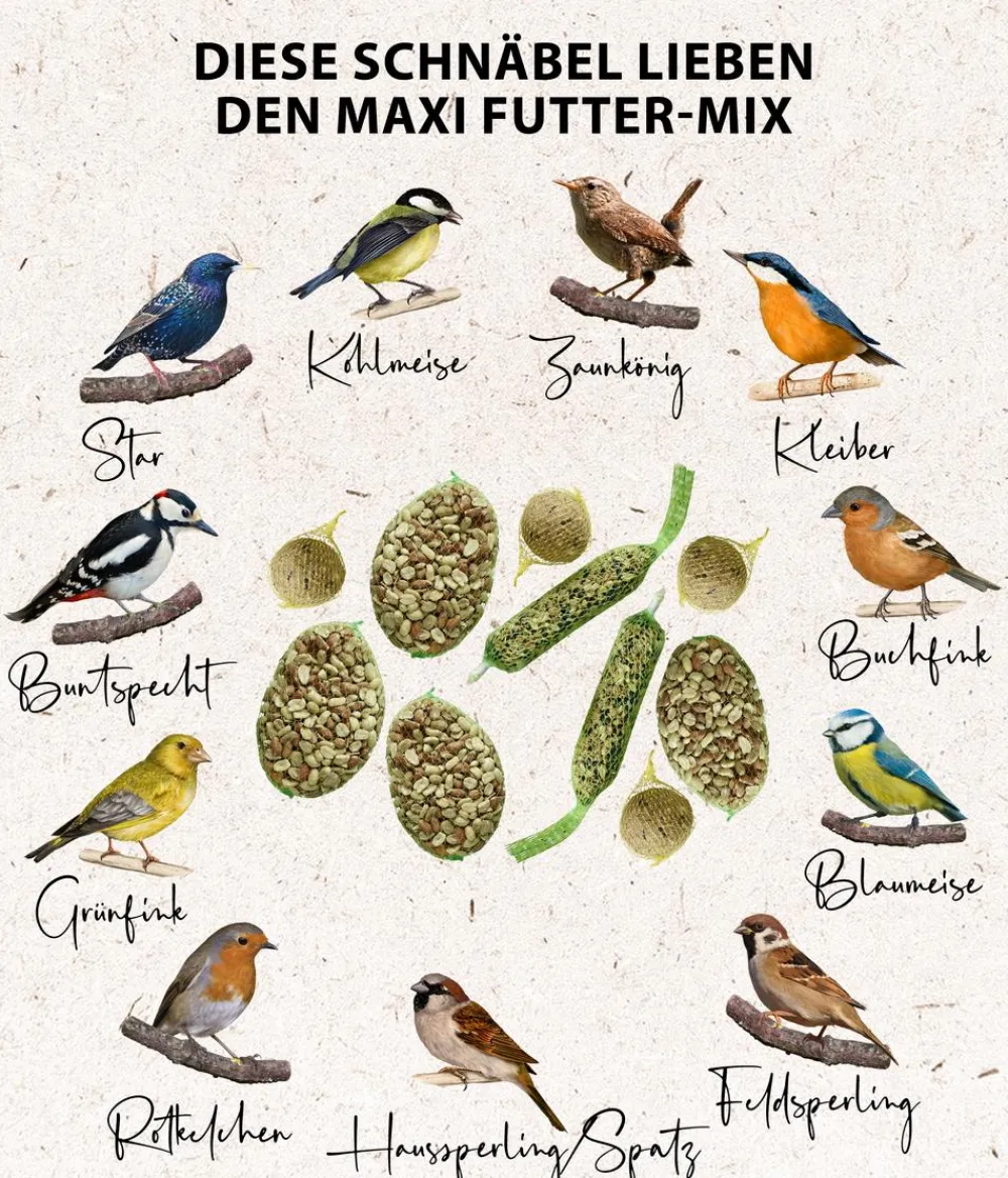 Dehner Natura Premium Wildvogelfutter & Snacks - Wildvogelfutter Maxi Gourmet-Mix, 1.380 g