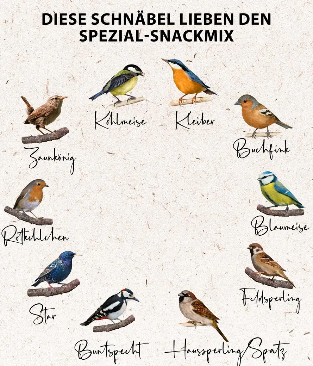 Dehner Natura Premium Wildvogelfutter Spezial-Snackmix, 6-teilig Sale