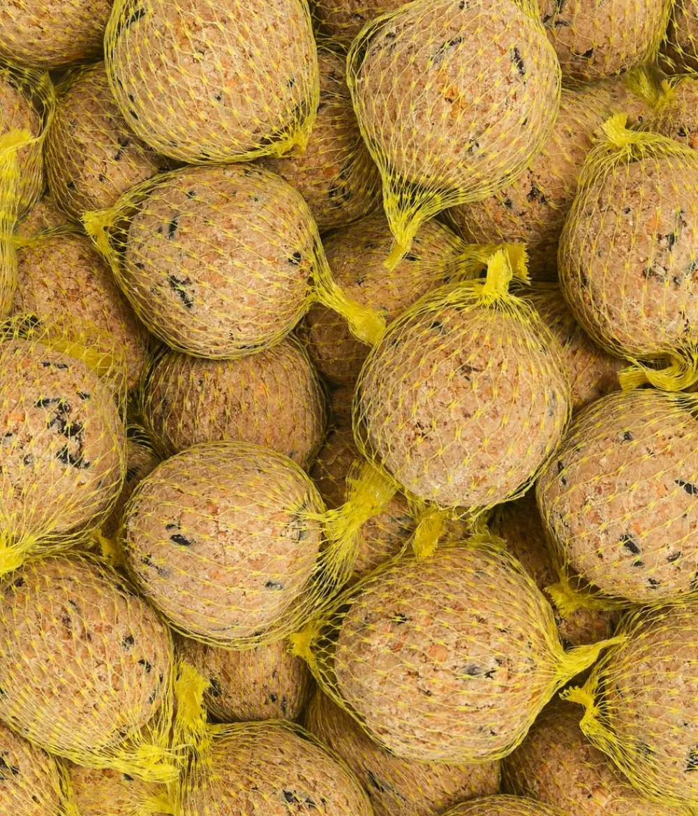Dehner Natura Premium Meisenknödel - Wildvogelfutter Insekten-Meisenknödel, mit Netz