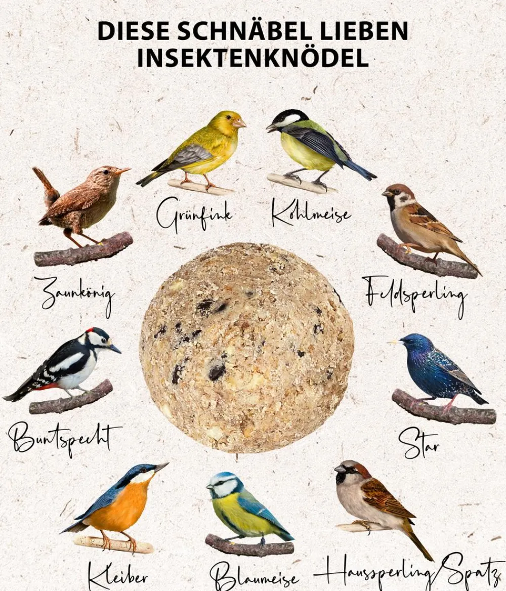 Dehner Natura Premium Meisenknödel - Wildvogelfutter Insekten-Meisenknödel, mit Netz