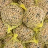 Dehner Natura Premium Meisenknödel - Wildvogelfutter Mohn-Meisenknödel im Eimer, mit Netz, 30 Stk.
