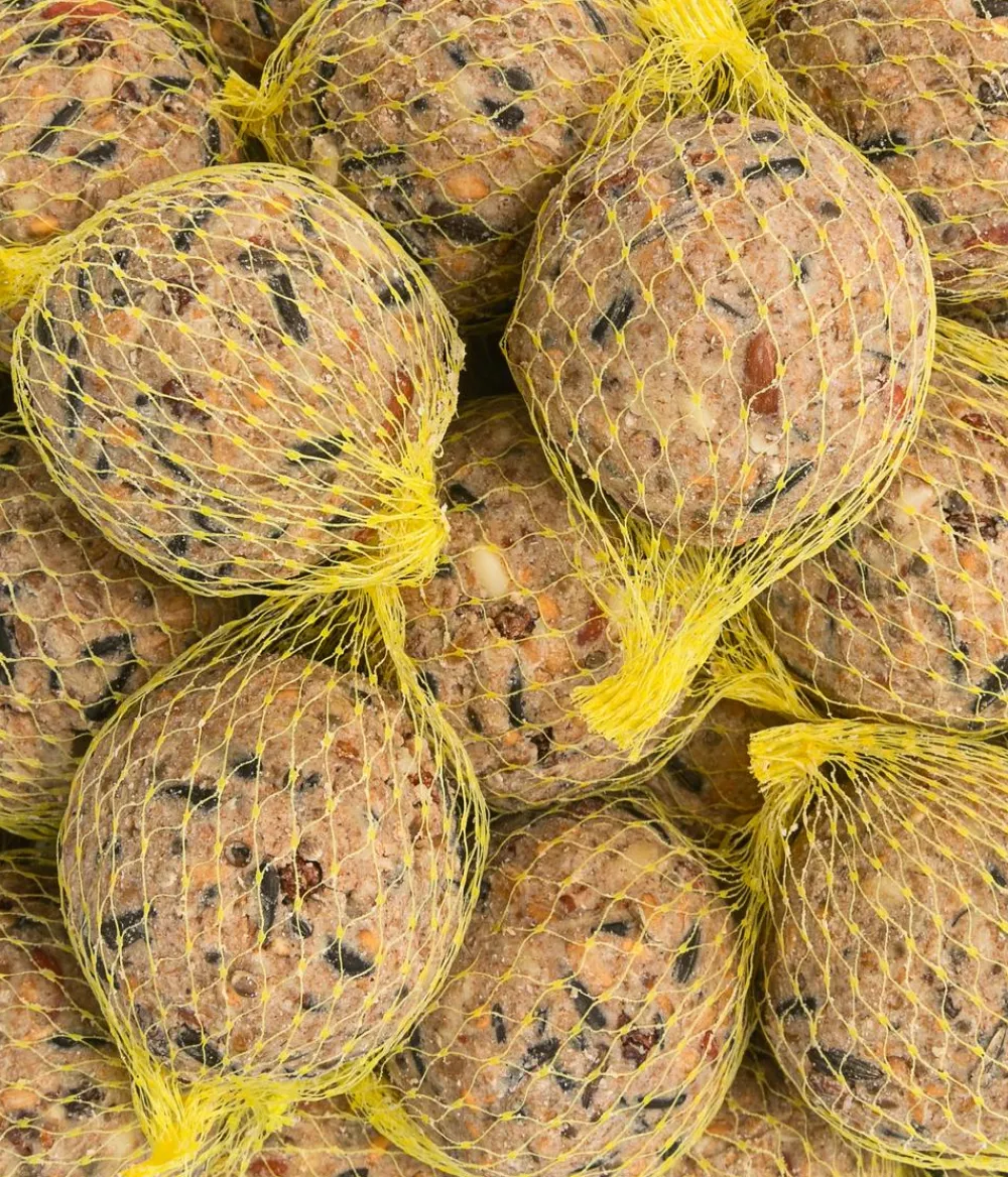 Dehner Natura Premium Meisenknödel - Wildvogelfutter Wald-Meisenknödel im Eimer, mit Netz, 30 Stk.