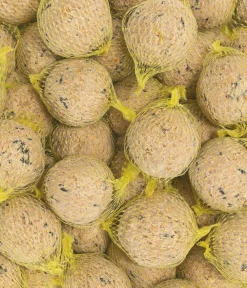 Dehner Natura Premium Meisenknödel - Wildvogelfutter Müsli-Meisenknödel im Eimer, mit Netz, 30 Stk.