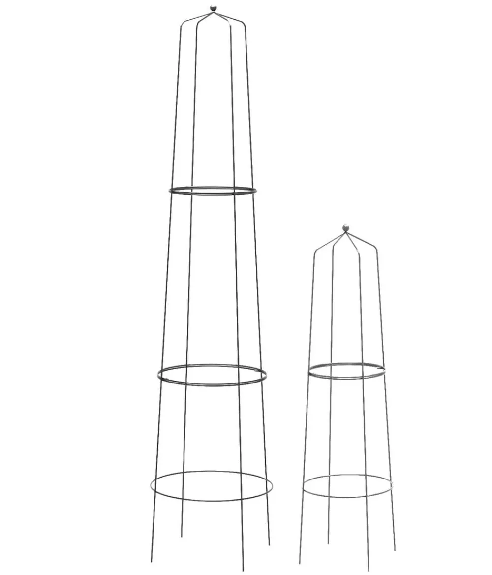 Dehner Rankgitter & Obelisken > Obelisk-Sekt Nova, 2-teilig