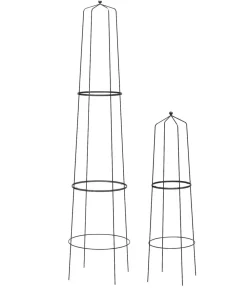 Dehner Obelisk-Sekt Nova, 2-teilig Schwarz Discount