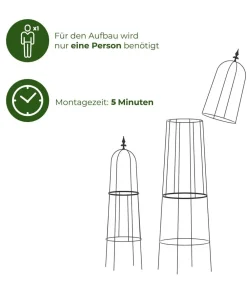 Dehner Rankgitter & Obelisken - Obelisk-Set Piazza, 2-teilig Schwarz