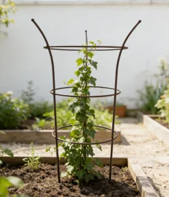 Dehner Pflanzstütze Chester, ca. Ø50/H70 cm Kupfer Sale