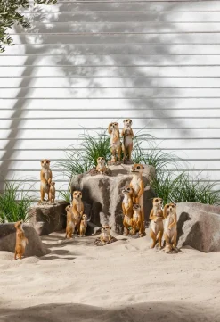 Dehner Gartenzwerge & Gartenfiguren - Polyresin-Erdmännchen, ca. B8,3/H24,2/T8 cm