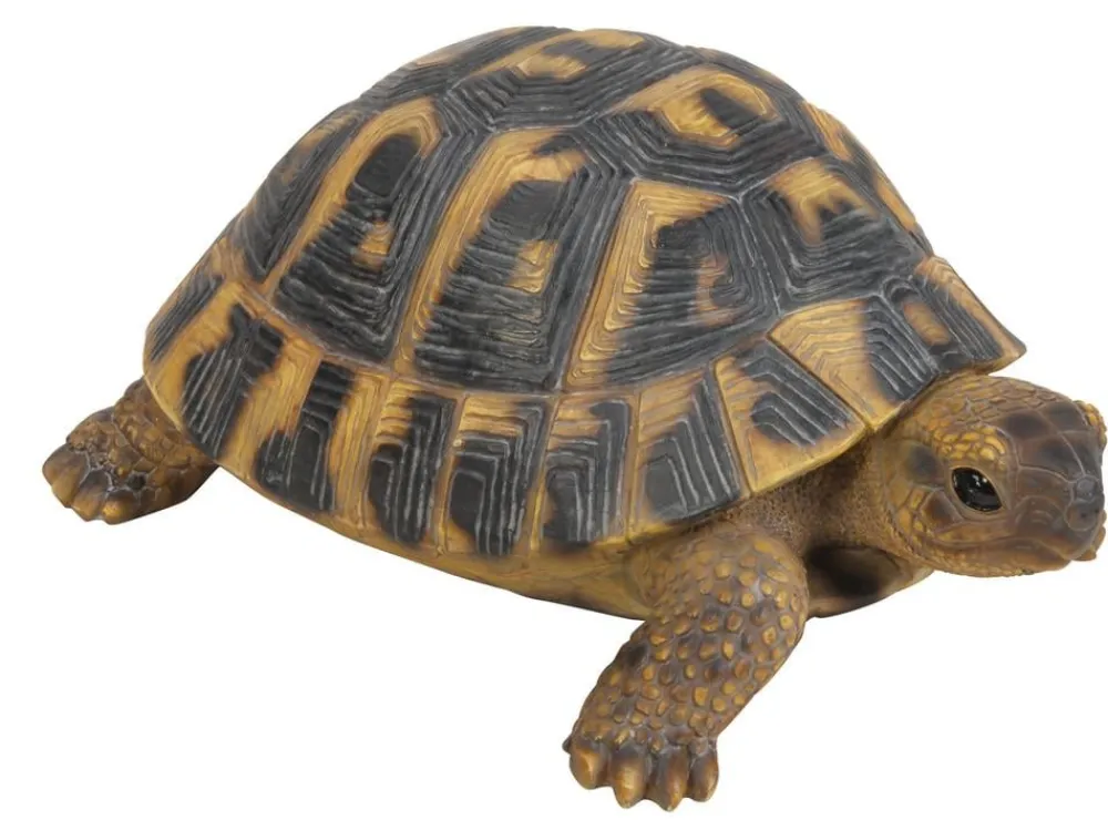 Dehner Polyresin-Landschildkröte Sale