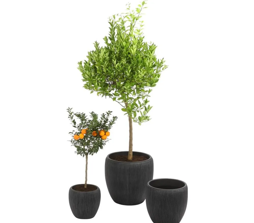 Dehner Vasen|Blumentöpfe & Übertöpfe > Polyresin-Pflanzvase Tokio in Riffeloptik, rund, grau