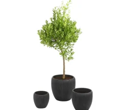 Dehner Vasen|Blumentöpfe & Übertöpfe > Polyresin-Pflanzvase Tokio in Riffeloptik, rund, grau