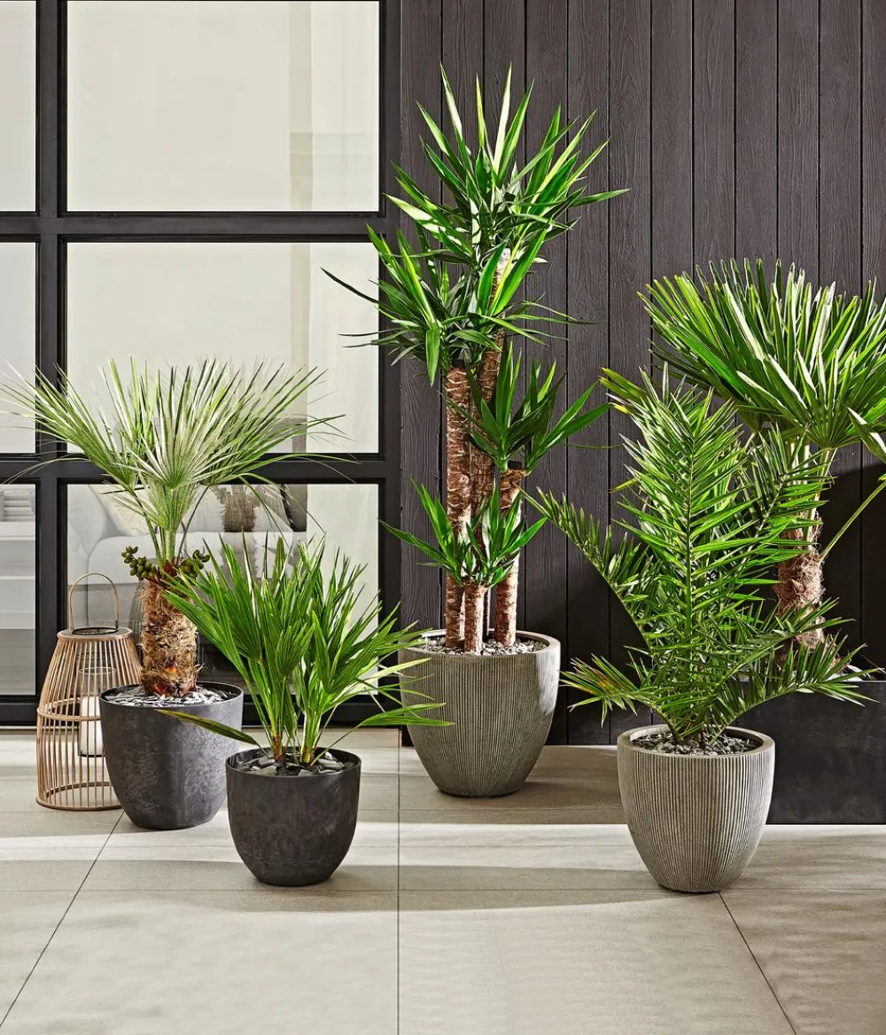 Dehner Blumentöpfe & Übertöpfe > Polystone-Topf Brisbane in Riffeloptik, rund