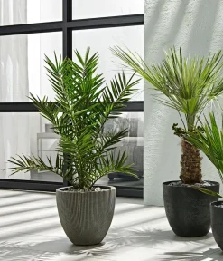 Dehner Blumentöpfe & Übertöpfe > Polystone-Topf Brisbane in Riffeloptik, rund