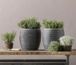 Dehner Blumentöpfe & Übertöpfe > Polystone-Topf Brisbane in Riffeloptik, rund