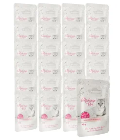 Dehner Premium Lovely Katzensnack Filets in Brühe Rückzugs-Ort, 24 x 40 g New