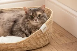 Dehner Premium Lovely Katzenbetten & Katzenkissen > Kuchebett Tiefer chaf, ova