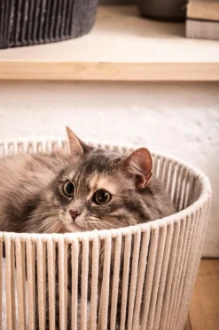 Dehner Premium Lovely Katzenbetten & Katzenkissen - Kuschelbett Erholung, rund, , ca. Ø40/H18 cm Weiß
