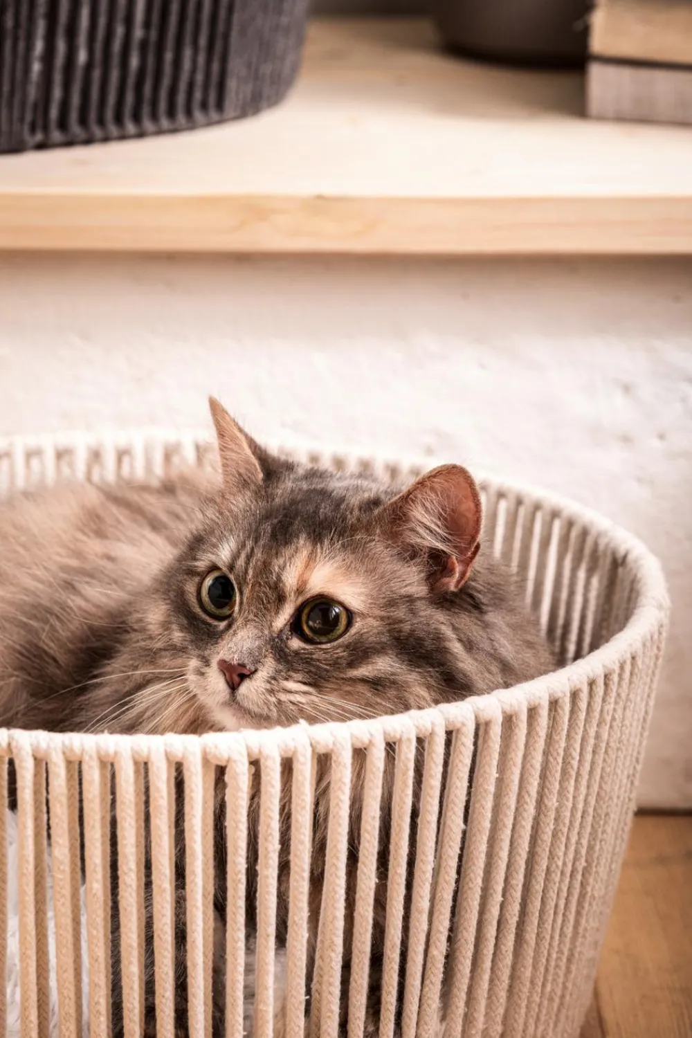 Dehner Premium Lovely Katzenbetten & Katzenkissen - Kuschelbett Erholung, rund, , ca. Ø40/H18 cm Weiß