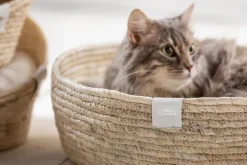 Dehner Premium Lovely Katzenbetten & Katzenkissen - Kuschelbett Guter Schlaf, oval