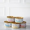 Dehner Premium Lovely Nassfutter Katze > Nassfutter für Katzen in Gelee Pass auf dich auf!, 24 x 85 g
