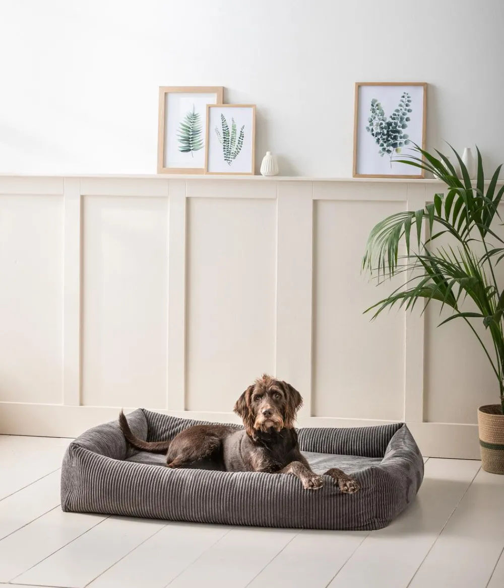 Dehner Premium Orthopädisches Hundebett Yumah, rechteckig, ca. B120/H23/T90 cm Grau New