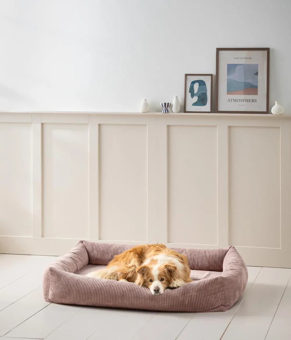 Dehner Premium Orthopädisches Hundebett Lakota, rechteckig, ca. B120/H23/T90 cm Rosa Outlet