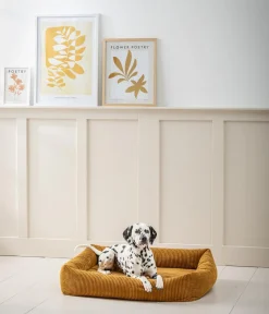 Dehner Premium Orthopädisches Hundebett Enola, rechteckig, ca. B90/H23/T70 cm Gelb Hot