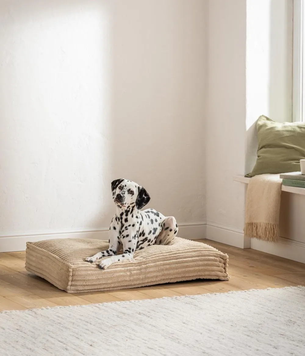 Dehner Premium Betten & Kissen|Hundekissen - Orthopädische Hundematratze Sikari, rechteckig, ca. B100/H14/T70 cm Beige