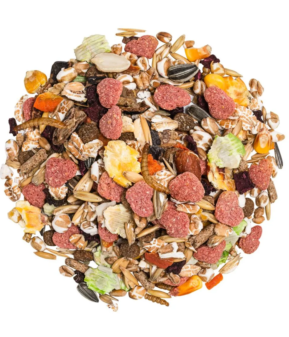 Dehner Premium Kleintierfutter > Rattenfutter, 750 g