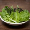 Dehner Gemüsesamen > Premium Samen Asia-Salat-Mischung