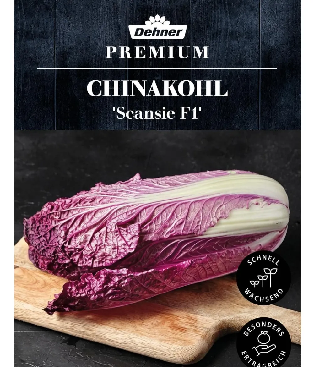 Dehner Gemüsesamen > Premium Samen Chinakohl 'Scansie F1'