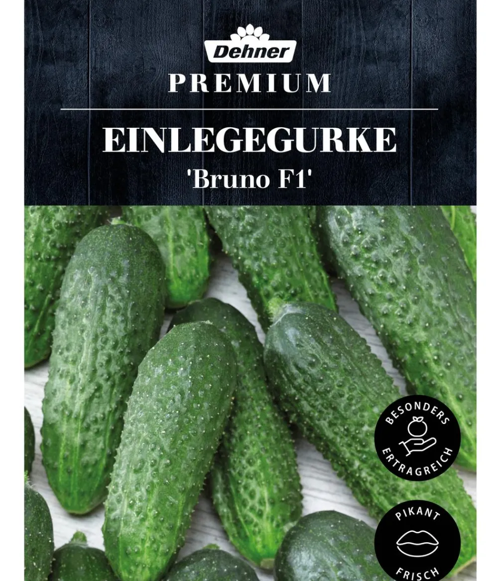 Dehner Gemüsesamen > Premium Samen Einlegegurke 'Bruno F1'