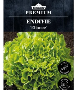 Dehner Gemüsesamen > Premium Samen Endivie 'Eliance'