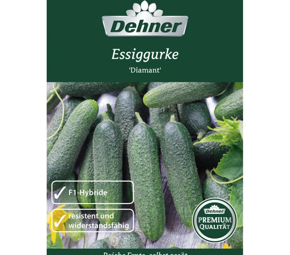 Dehner Gemüsesamen - Premium Samen Essiggurke 'Diamant'