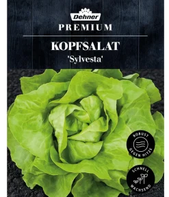 Dehner Premium Samen Kopfsalat 'Sylvesta' Hot
