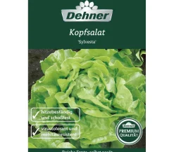Dehner Gemüsesamen > Premium Samen Kopfsalat 'Sylvesta'