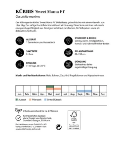 Dehner Premium Samen Kürbis 'Sweet Mama F1' Online