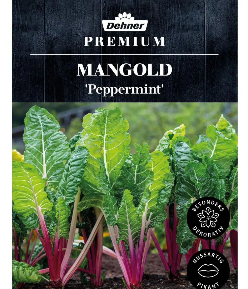 Dehner Kräutersamen > Premium Samen Mangold 'Peppermint'