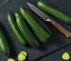 Dehner Gemüsesamen - Premium Samen Mini-Gurke 'Party Time F1'