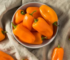 Dehner Gemüsesamen > Premium Samen Mini-Paprika 'Snacking F1'