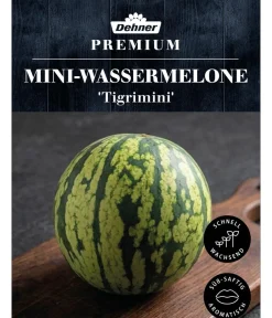 Dehner Obstsamen - Premium Samen Mini-Wassermelone 'Tigrimini'