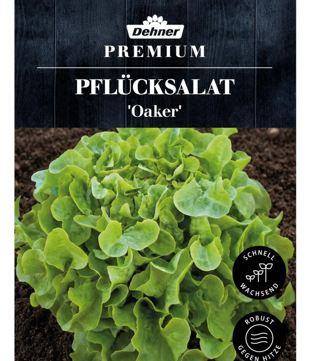 Dehner Premium Samen Pflücksalat 'Oaker' Discount