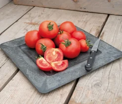 Dehner Premium Samen Rispentomate 'Serrat F1' Best