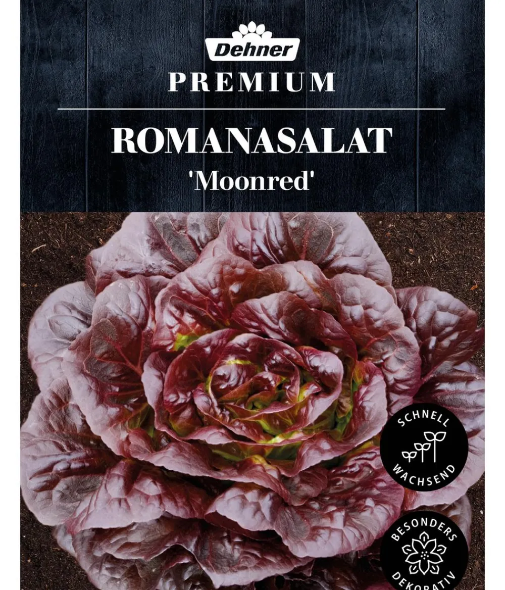 Dehner Gemüsesamen - Premium Samen Romanasalat 'Moonred'