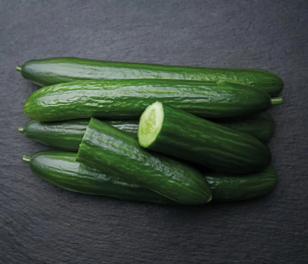 Dehner Gemüsesamen > Premium Samen Salatgurke 'Hillwood F1'