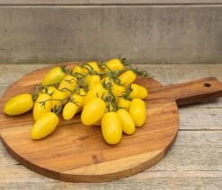 Dehner Gemüsesamen - Premium Samen Snacktomate 'Dattolime'