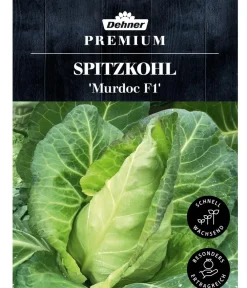 Dehner Premium Samen Spitzkohl 'Murdoc F1' Online
