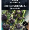 Dehner Premium Samen Sprossenbrokkoli 'Burgundy F1' Discount