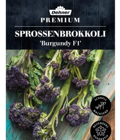 Dehner Premium Samen Sprossenbrokkoli 'Burgundy F1' Discount