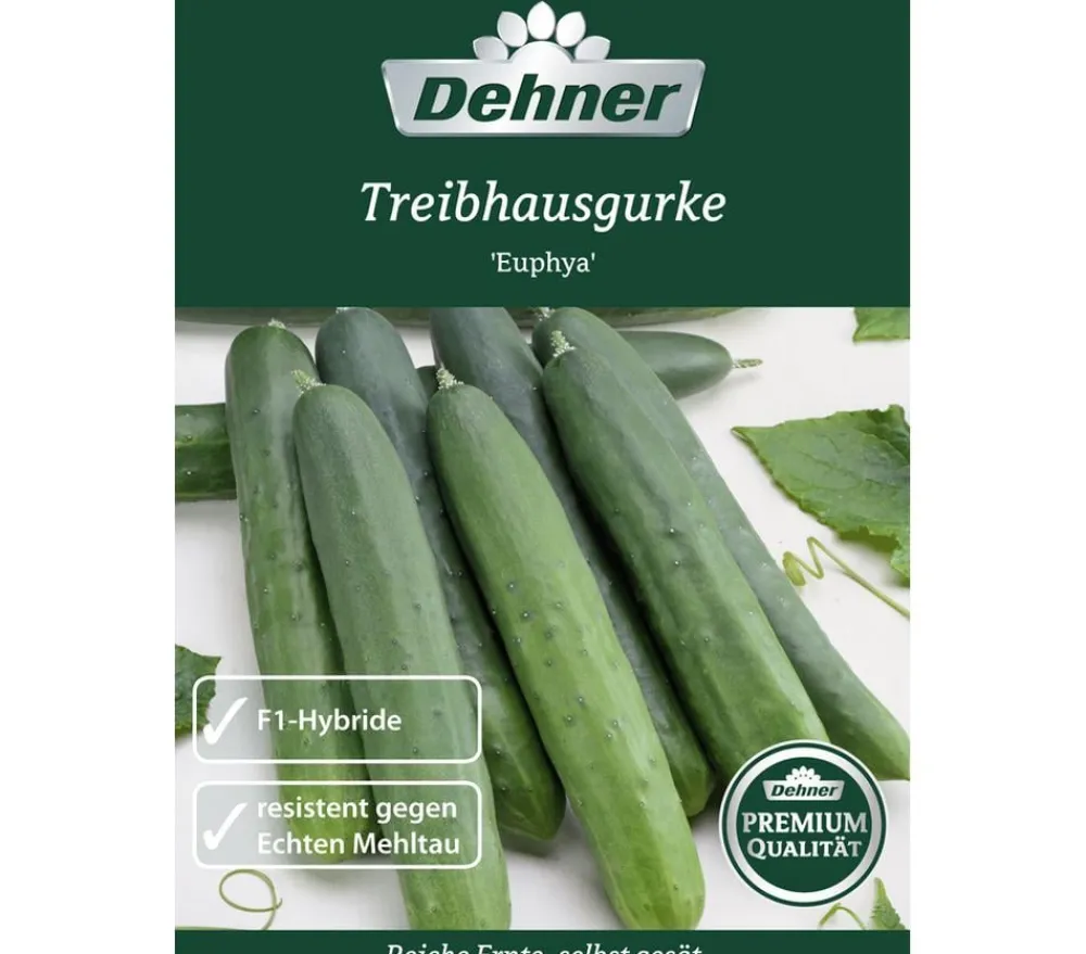 Dehner Gemüsesamen > Premium Samen Treibhausgurke 'Euphya'